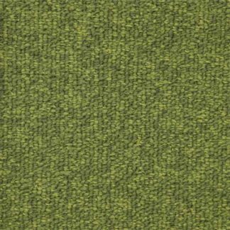 Tiara Brio 658_31 er