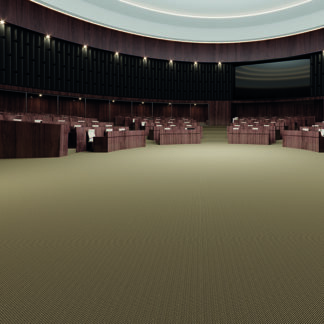 Wollstruktur_parliam