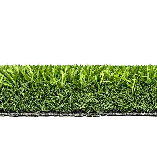 Tiara Fresco_grün_Pr