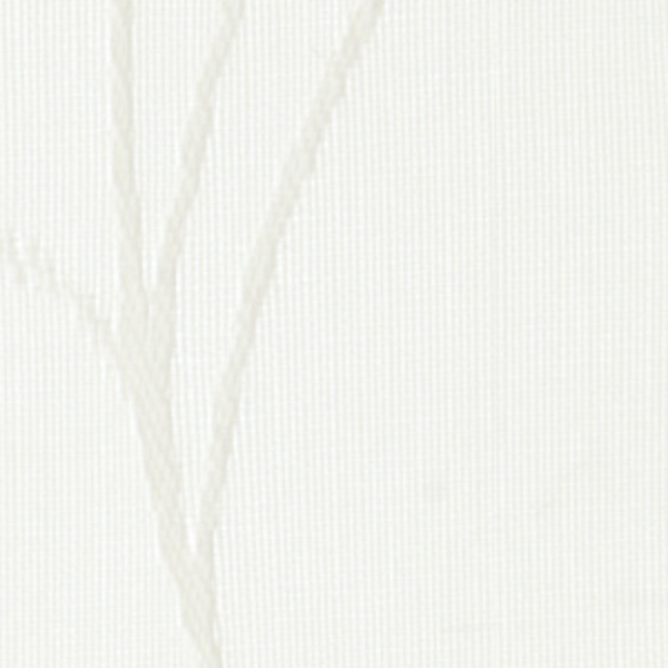 Mira X Clinic Three_