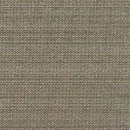 Alpbach_8659_Col.11.