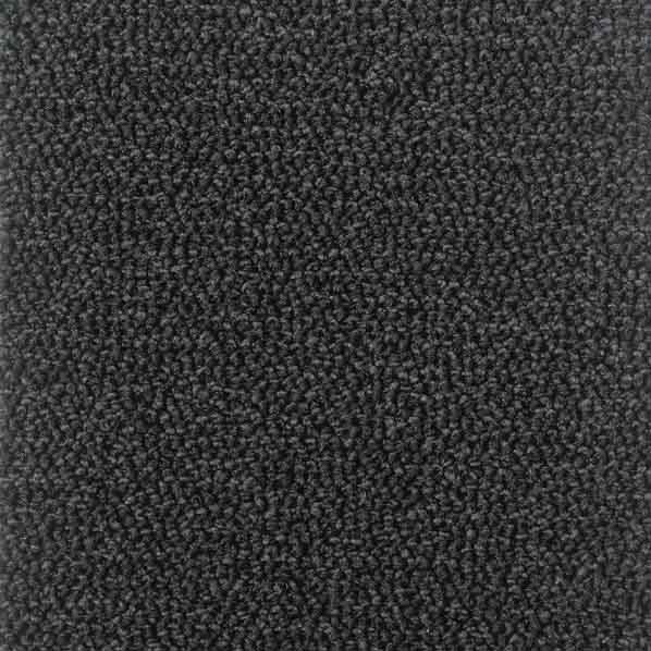 Tiara Zebrino_629_co