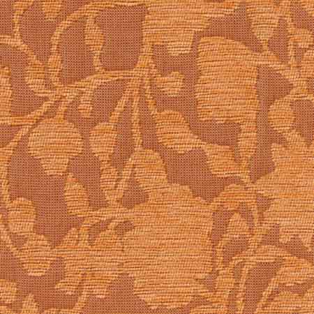 Irina_8582_Col.22.jp