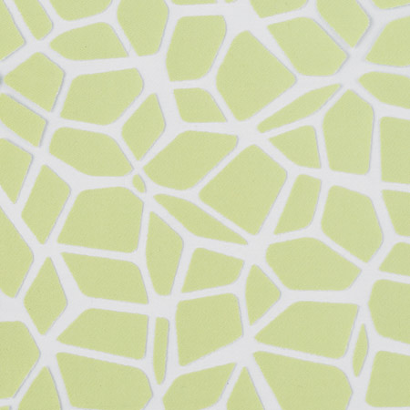 MIRA X FIORINA_7312_