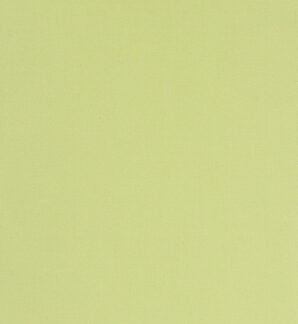 MIRA X FINA_7310_COL