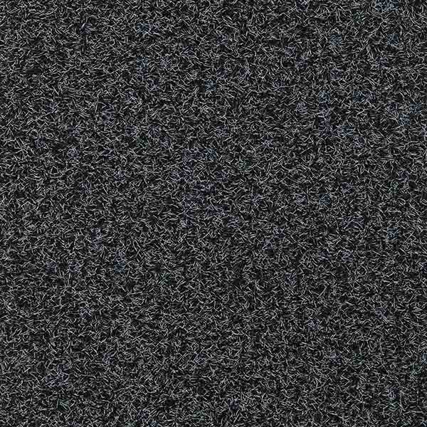 Tiara Brush_634_col.