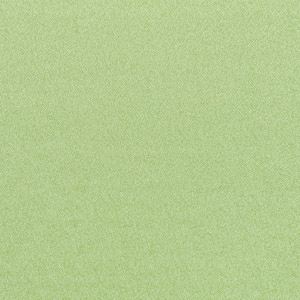 HAGEN_9047_COL_11.jp