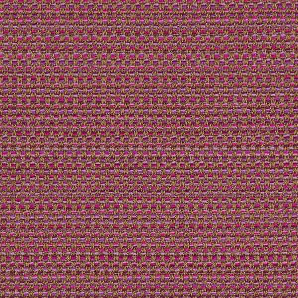 Tisca Tiara_Allegro_