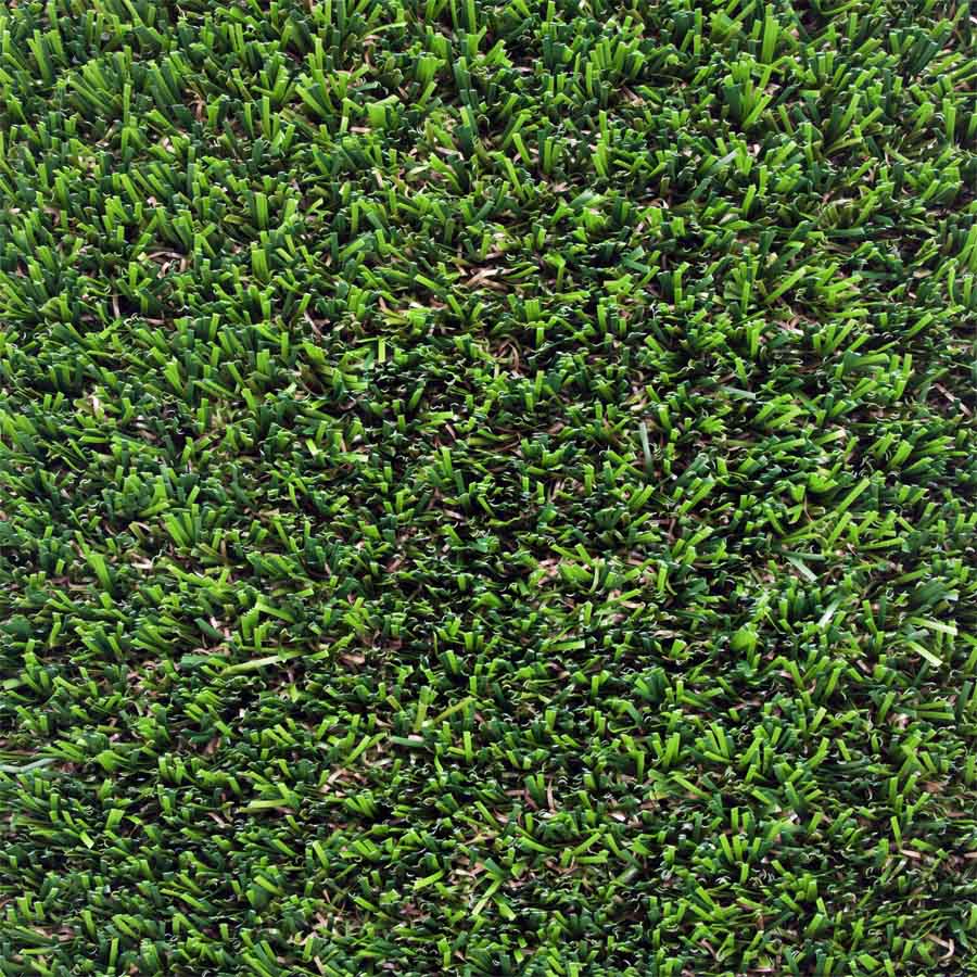 Tiara Campo_vo_600x6