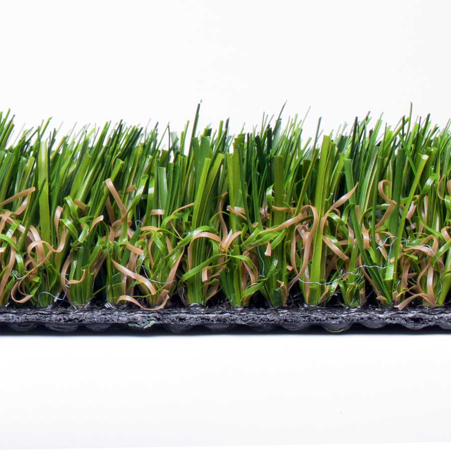 Tiara Campo_Profil_6