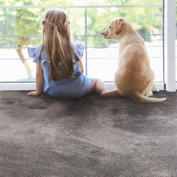 Tiara_Clean_Girl_Dog