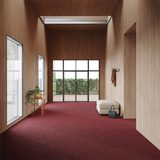 Tiara Zerbino_61rot_