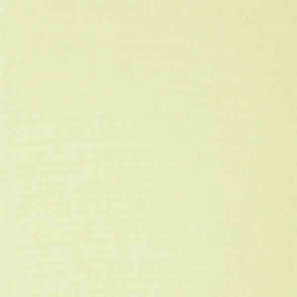 Olmo_13 schilf
