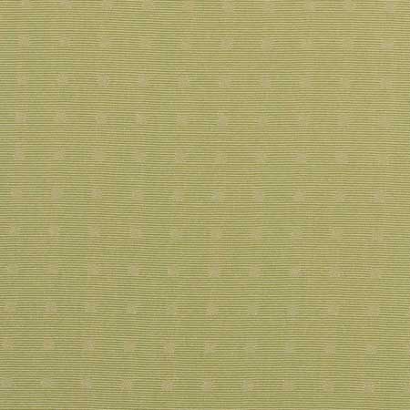 Campo_6422_Col.16.jp