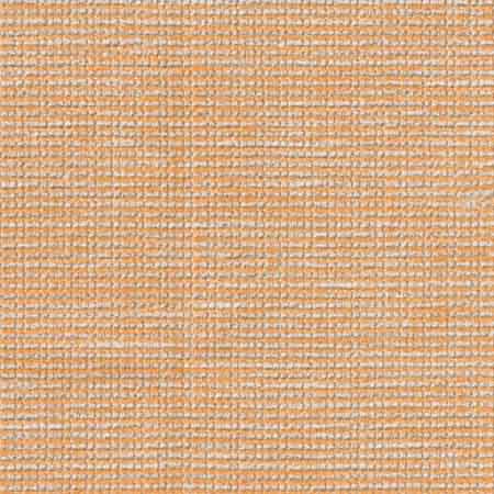 Cetus_8459_Col.235.j