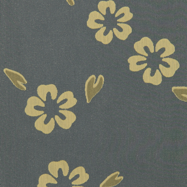 Graziella_col.50
